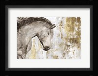 Equestrian Gold V Framed Print