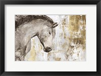 Equestrian Gold V Framed Print