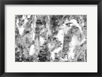 Black and White Abstract III Framed Print