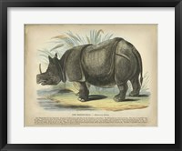 Rhino Fine Art Print