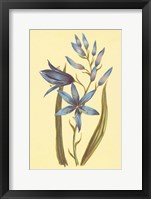 Camass and Wild Hyacinth Fine Art Print