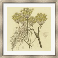 Yellow Weeds Fine Art Print