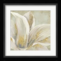 Fresh Bloom I Framed Print