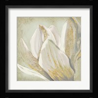 Fresh Bloom II Framed Print