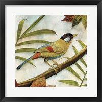 Jungle Bird I Framed Print