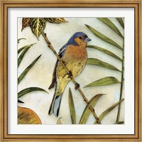 Jungle Bird II Fine Art Print