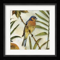 Jungle Bird II Framed Print