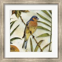 Jungle Bird II Fine Art Print