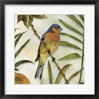 Jungle Bird II Framed Print