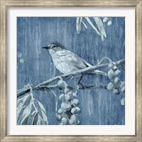 Denim Songbird I Fine Art Print