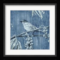 Denim Songbird I Framed Print