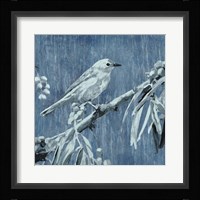 Denim Songbird III Framed Print