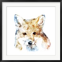 Watercolour Fox Fine Art Print
