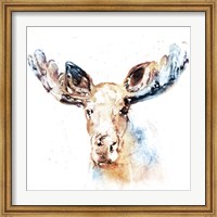 Watercolour Moose Fine Art Print