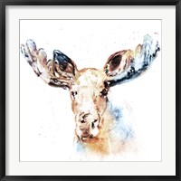 Watercolour Moose Fine Art Print