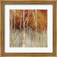 Belgium Forest I Fine Art Print