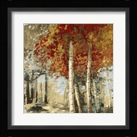 Frontier II Framed Print