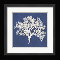 Cobalt Coral II Framed Print