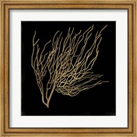 Gold Coral I Fine Art Print