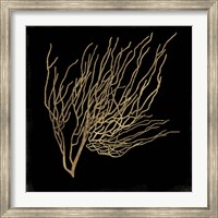 Gold Coral I Fine Art Print