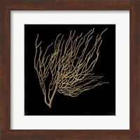 Gold Coral I Fine Art Print