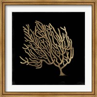 Gold Coral II Fine Art Print