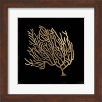 Gold Coral II Fine Art Print