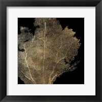 Honeycomb Coral I Framed Print