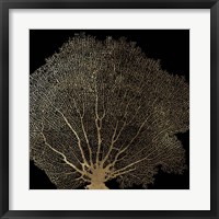 Honeycomb Coral II Fine Art Print