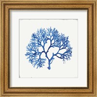 Blue and Green Coral V Fine Art Print