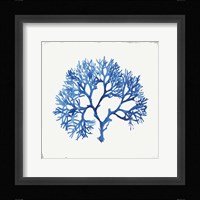 Blue and Green Coral V Fine Art Print