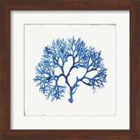 Blue and Green Coral V Fine Art Print