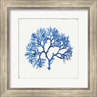 Blue and Green Coral V Fine Art Print