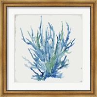 Blue and Green Coral II Fine Art Print