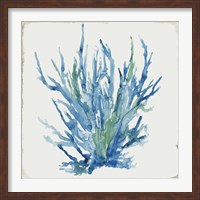Blue and Green Coral II Fine Art Print