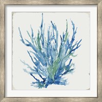 Blue and Green Coral II Fine Art Print