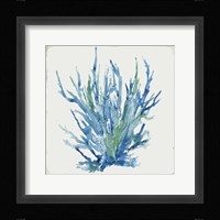 Blue and Green Coral II Framed Print