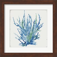 Blue and Green Coral II Fine Art Print