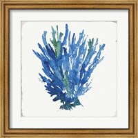 Blue and Green Coral III Fine Art Print