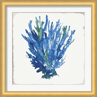 Blue and Green Coral III Fine Art Print