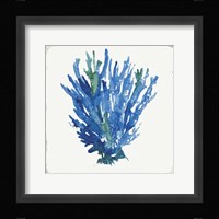 Blue and Green Coral III Fine Art Print