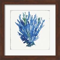 Blue and Green Coral III Fine Art Print