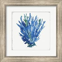 Blue and Green Coral III Fine Art Print