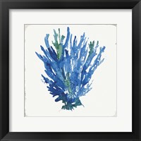 Blue and Green Coral III Framed Print