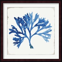 Blue and Green Coral IV Fine Art Print