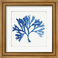 Blue and Green Coral IV Fine Art Print