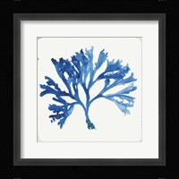 Blue and Green Coral IV Fine Art Print