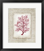 Red Coral III Border Framed Print