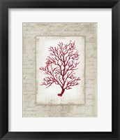 Red Coral III Border Fine Art Print