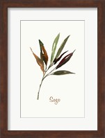Wild Sage Fine Art Print
